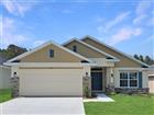 267 VERNY GROVE LANE, LEESBURG, FL - MLS# O6413632