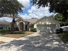 878 HIGH POINTE CIR, MINNEOLA, FL - MLS# O6418196
