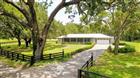 16945 W PHIL C PETERS RD, WINTER GARDEN, FL - MLS# O6418208