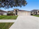 19606 MORDEN BLUSH DR, LUTZ, FL - MLS# O6418596