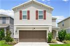 3205 AMARANTH ST, TAVARES, FL - MLS# O6418755