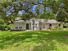 400 N PINE MEADOW DR, DEBARY, FL - MLS# O6418907