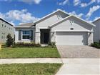 2910 AMERICAN ELM CV, OCOEE, FL - MLS# O6420700