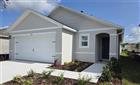 230 BULL FROG LN, UMATILLA, FL - MLS# O6421536