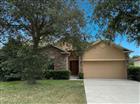 311 RAMBLING CIR, APOPKA, FL - MLS# O6422600