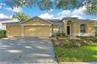 O6422823 - 9303 HERITAGE OAK CT, TAMPA, FL 33647