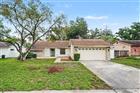 17703 CRANBROOK DR, LUTZ, FL - MLS# O6423386