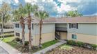 O6424461 - 202 RED MAPLE PL #202, BRANDON, FL 33510