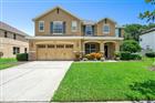 30148 JUTLAND CT, MOUNT DORA, FL - MLS# O6424733