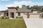 O6425794 - 3919 VINO TINTO PL, PLANT CITY, FL 33565