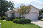11333 PINK BLOSSOM CT, ORLANDO, FL - MLS# O6425943