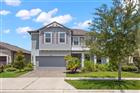 18935 BIRCHWOOD GROVES DR, LUTZ, FL - MLS# O6427663