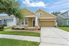 14127 SOUTHERN RED MAPLE DR, ORLANDO, FL - MLS# O6428361