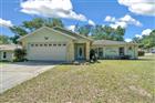 9300 SE 161ST ST, SUMMERFIELD, FL - MLS# OM697730