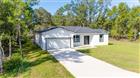 58 FISHER TRACE RUN, OCKLAWAHA, FL - MLS# OM707628