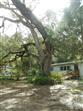 20425 NE 143RD ST, SALT SPRINGS, FL - MLS# OM710940