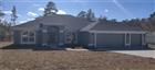 OM715209 - 12334 SNOW GOOSE AVE, BROOKSVILLE, FL 34614