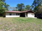 1361 W SAINT ELIZABETH PL, CITRUS SPRINGS, FL - MLS# OM722761