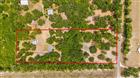 19551 SE 42ND PL, MORRISTON, FL - MLS# OM724189