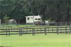 10455 NW GAINESVILLE RD, OCALA, FL - MLS# OM729078