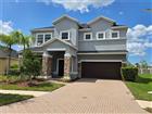 11928 FROST ASTER DR, RIVERVIEW, FL - MLS# P4939211