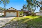 4110 LONGFELLOW DR, PLANT CITY, FL - MLS# P4939340