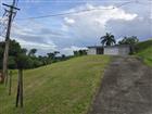 SR 182 Km. 15.6 BO GUAYABOTAS, YABUCOA, FL - MLS# PR9117973