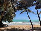PR9120785 - Waldorf Tower AVE. ISLA VERDE #804, CAROLINA, FL 00979