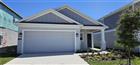1760 WHITE WATER CT, DAVENPORT, FL - MLS# S5142406