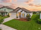 31041 JAZZ LEAF PL, SAN ANTONIO, FL - MLS# S5147136