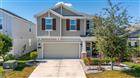 1066 BERRY LN, DAVENPORT, FL - MLS# S5149125