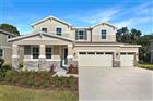 1034 CLOUD RIDGE CT, MOUNT DORA, FL - MLS# S5149181