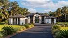 S5150154 - 3654 HIDDEN RIVER LN, TAVARES, FL 32778