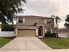 5802 COQUYT DR, MOUNT DORA, FL - MLS# S5150693