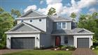 16240 ALPHA GROVE PL, ODESSA, FL - MLS# TB8312100