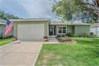 29436 ZELLER AVE, SAN ANTONIO, FL - MLS# TB8380088