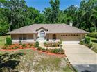 TB8382668 - 11120 LU WISTA LN, BROOKSVILLE, FL 34601
