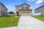 TB8395971 - 1038 KELLY FERN LOOP, RUSKIN, FL 33570
