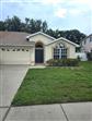 8640 HAWBUCK ST, TRINITY, FL - MLS# TB8412672