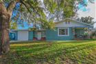 1011 E CRENSHAW ST, TAMPA, FL - MLS# TB8413794