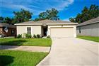 10119 CANDLEBERRY WOODS LN, GIBSONTON, FL - MLS# TB8425024