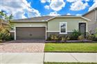 11529 LUCKYGEM DR, RIVERVIEW, FL - MLS# TB8440379