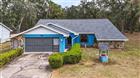 5250 LITTLE GREEN LN, DADE CITY, FL - MLS# TB8446443