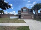8315 DEERLAND BLUFF LN, RIVERVIEW, FL - MLS# TB8447604