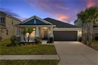 34014 ASTORIA CIR, WESLEY CHAPEL, FL - MLS# TB8449141