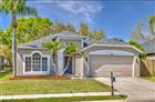 10641 FIREBRICK CT, TRINITY, FL - MLS# TB8450086