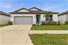 9738 REDWOOD HEIGHTS LOOP, THONOTOSASSA, FL - MLS# TB8454562