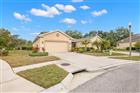 2003 BARRACUDA CT, HOLIDAY, FL - MLS# TB8460994