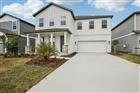 TB8463589 - 10164 HIDDEN HAMMOCK LOOP, PARRISH, FL 34219