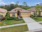 127 SILVER FALLS DR, APOLLO BEACH, FL - MLS# TB8470188
